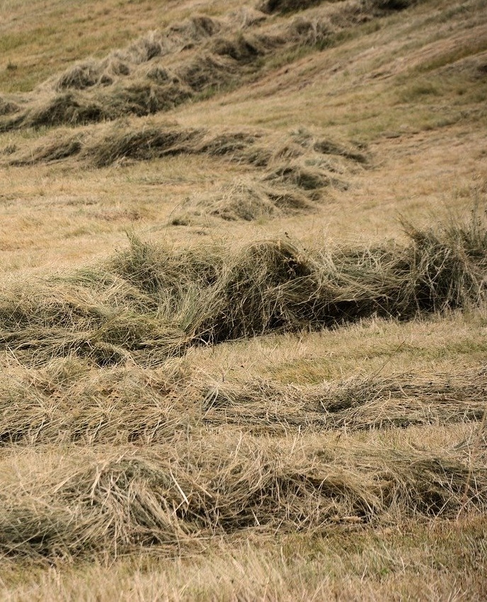 About Western Haylage